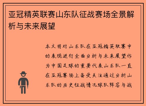 亚冠精英联赛山东队征战赛场全景解析与未来展望